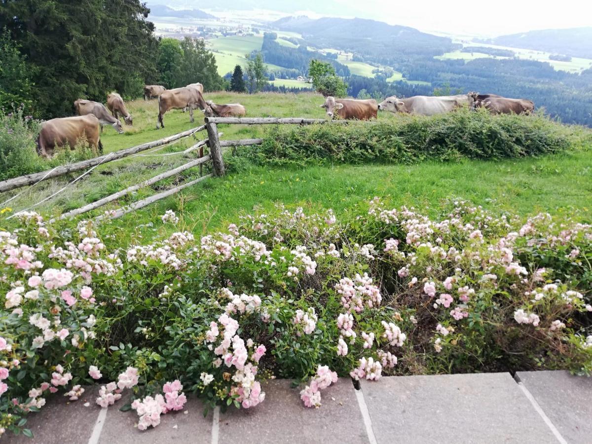 Ferienhaus Hochfelner Sankt Marein bei Knittelfeld Exteriör bild