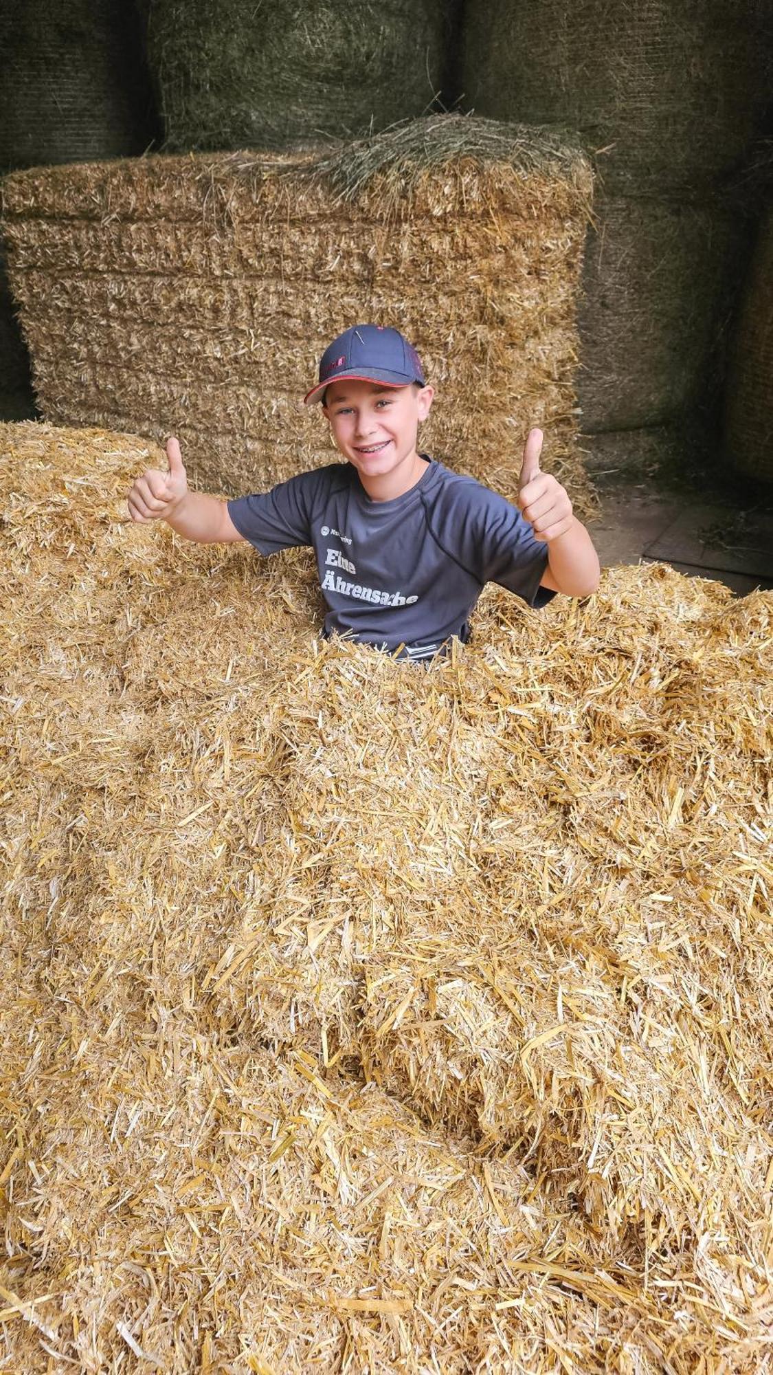 Ferienhaus Hochfelner Sankt Marein bei Knittelfeld Exteriör bild
