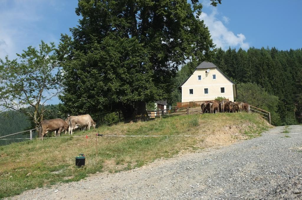 Ferienhaus Hochfelner Sankt Marein bei Knittelfeld Rum bild